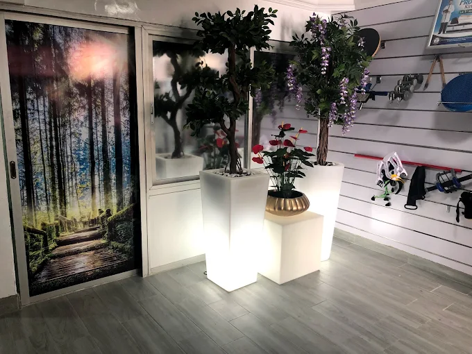 Centre de Kinésithérapie et d'Amincissement Oceanic